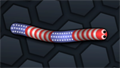 Snake Skin