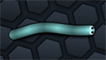 Snake Skin