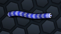 Snake Skin