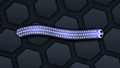 Snake Skin