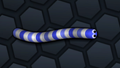 Snake Skin