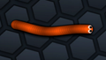Snake Skin