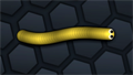 Snake Skin