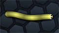 Snake Skin
