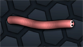 Snake Skin
