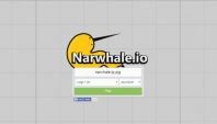 Narwhale.io