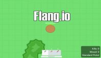 Flang.io