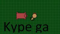 Kype.ga