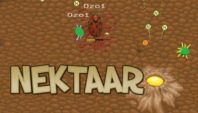nektaar.io
