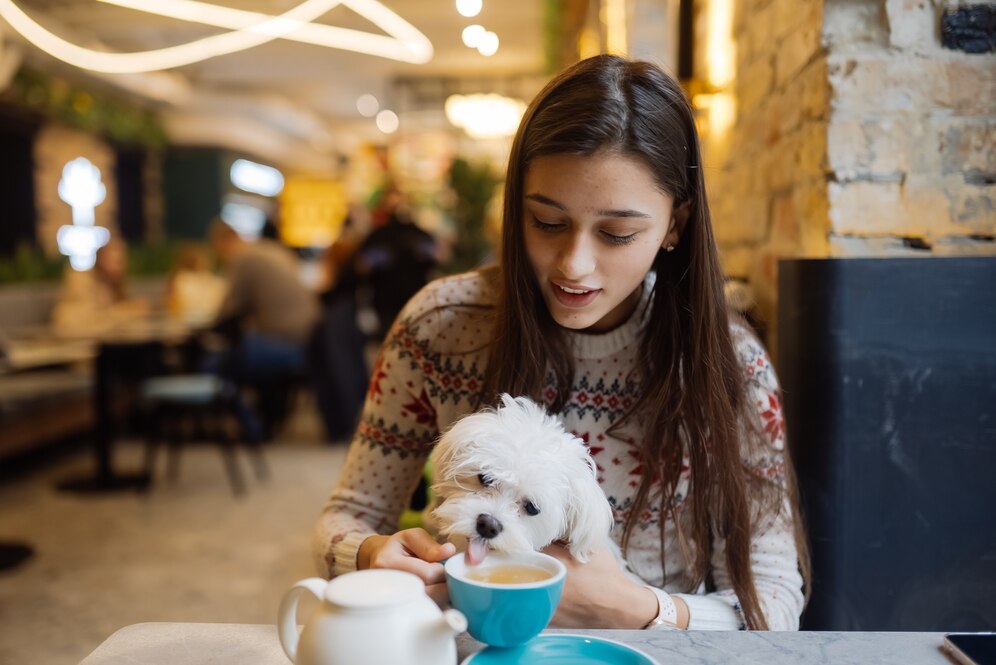 Dog Friendly Restaurants Near Me