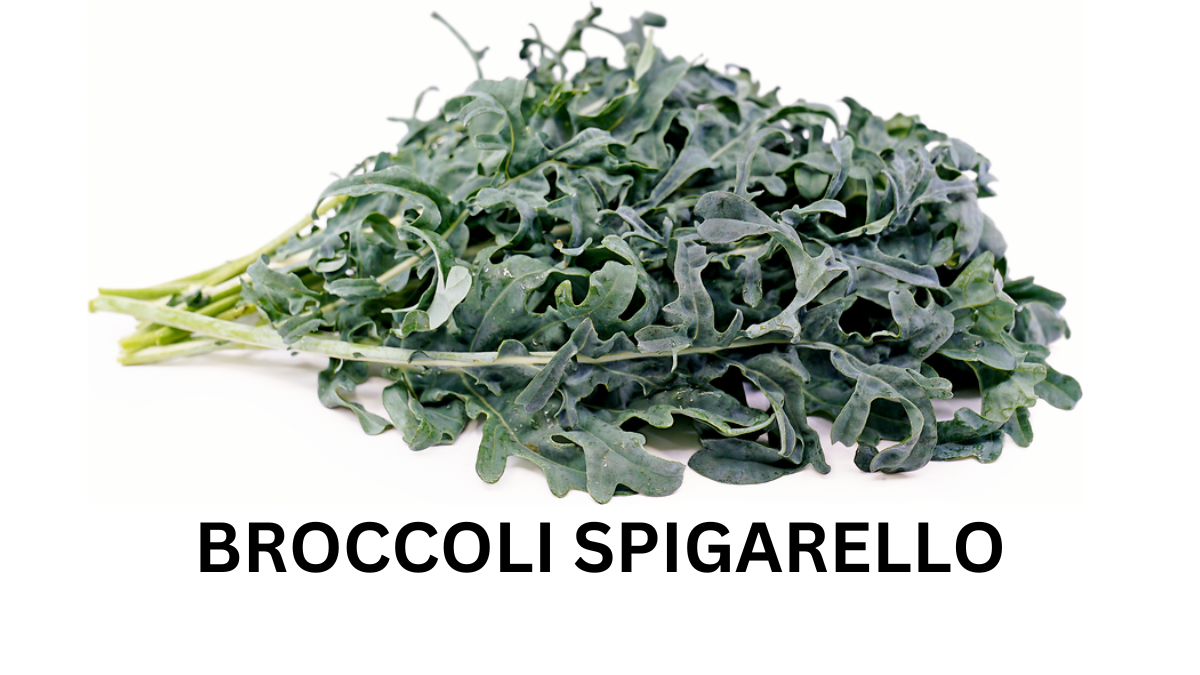 Spigarello