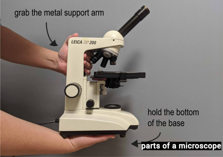 parts of a microscope