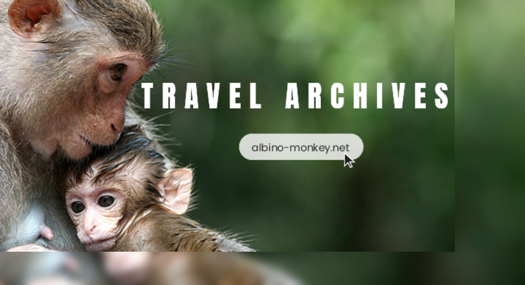 albino-monkey.net travel archives