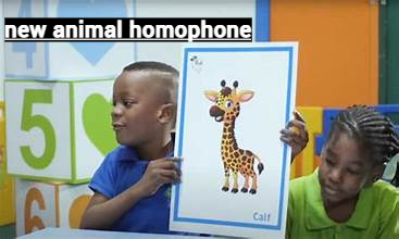 new animal homophone