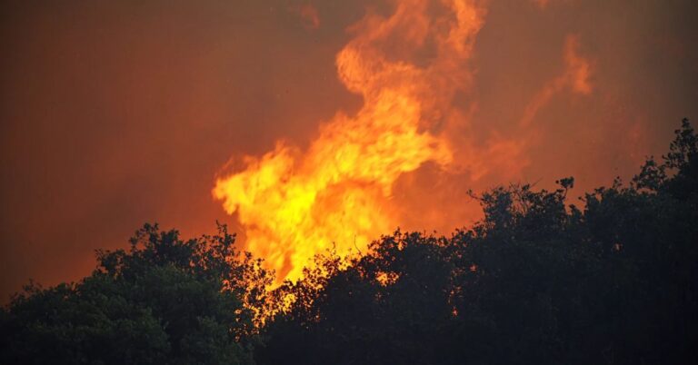 bench lake fire