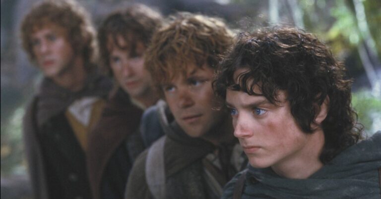 wladca pierscieni: druzyna pierscienia