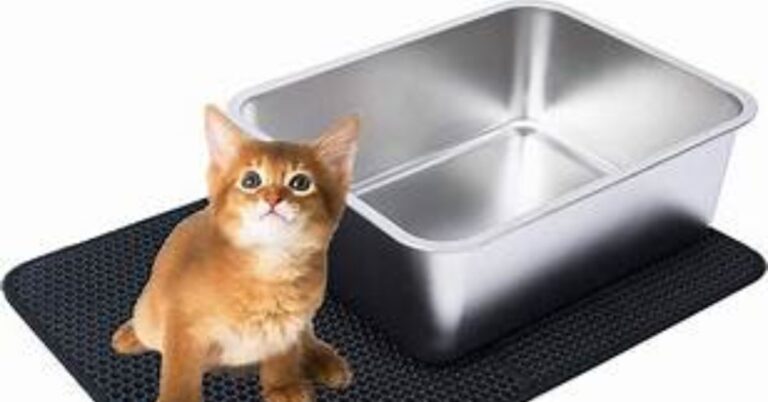 stainless steel litter box