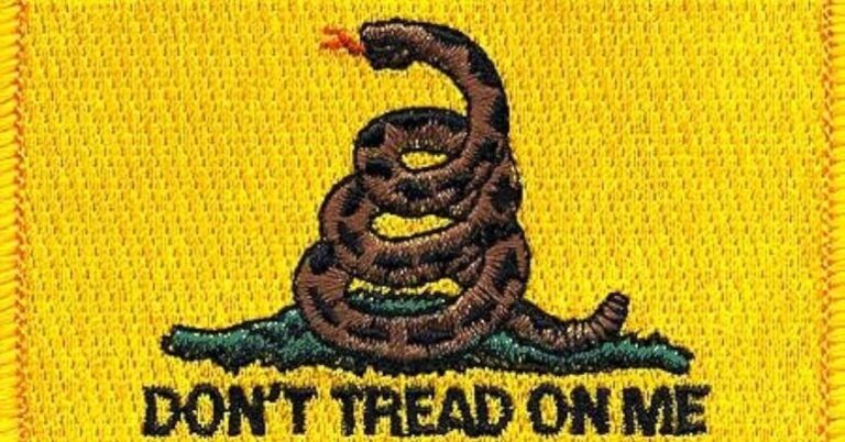 gadsden flag patch