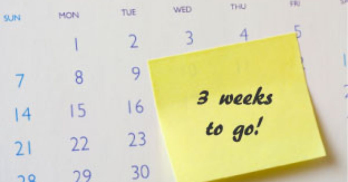 3 weeks from today