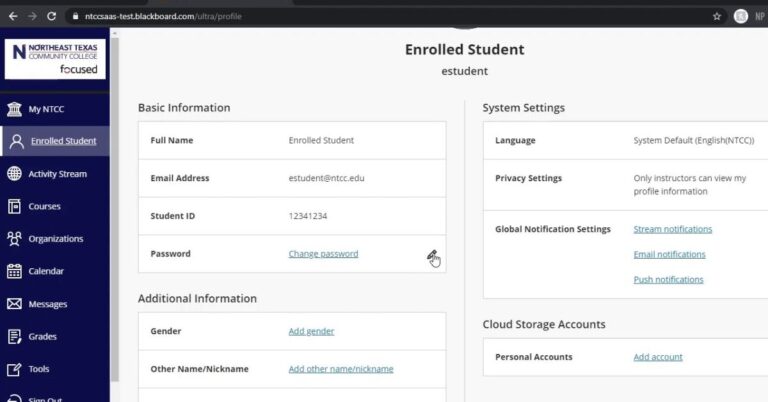 Troubleshooting Common Issues on Blackboard UCMO