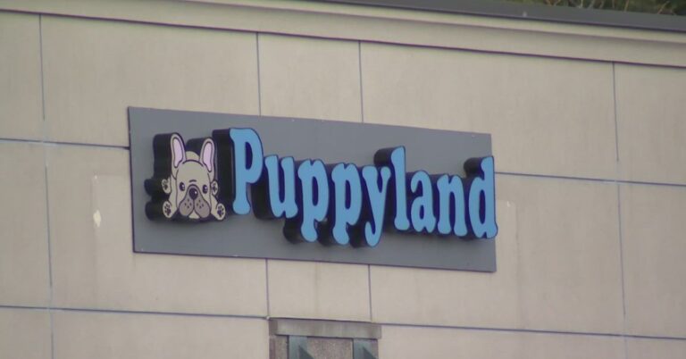 puppyland