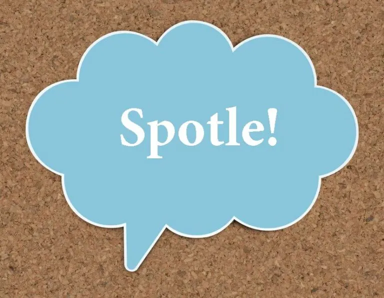 Spotle