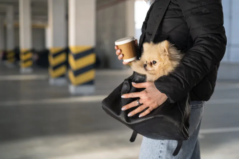 Side View Woman With Cute Dog