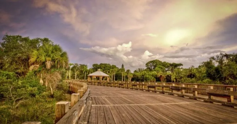 conservancy of southwest florida news​