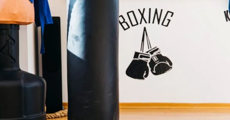 punching bag with stand